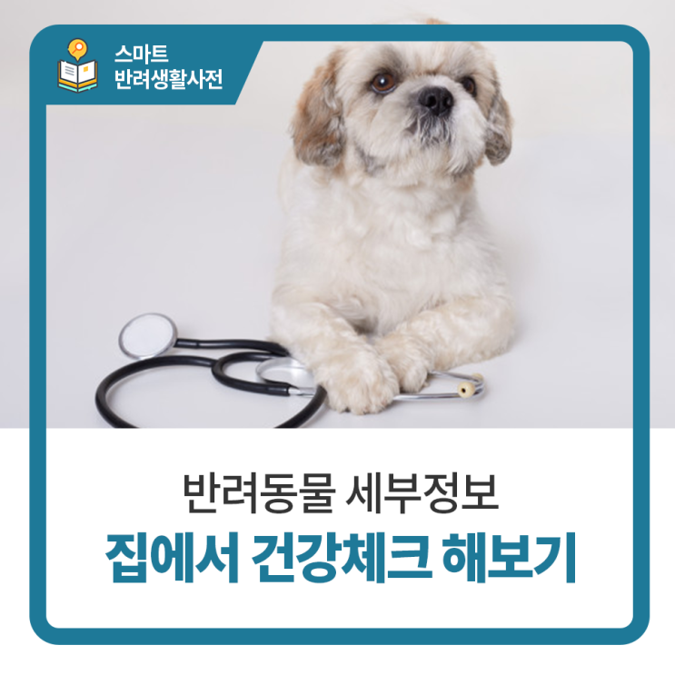  일산24시동물병원 탑케어동물의료원 :: 집에서 강아지 건강체크 해보기
