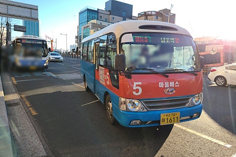 e대일주 이미지