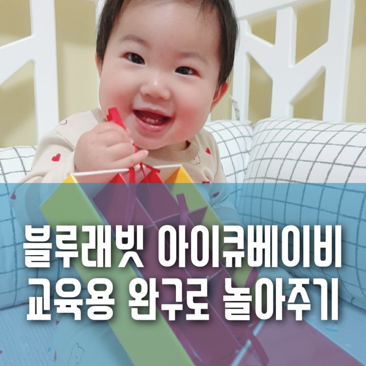 블루래빗 아이큐베이비 교육용 완구로 아이 월령에 맞게 놀아줘요. 블루래빗 아이큐베이비 교육용 완구로 아이 월령에 맞게 놀아줘요.