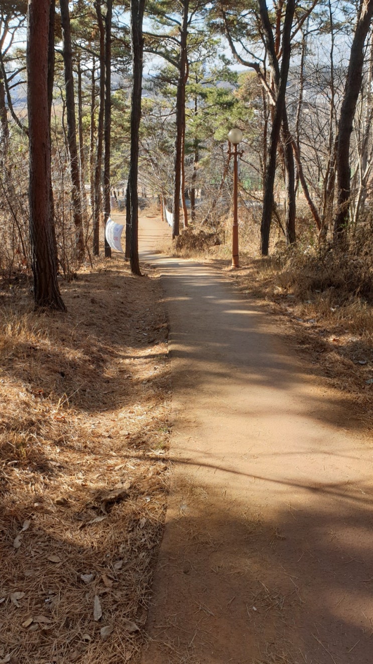 동네_산책