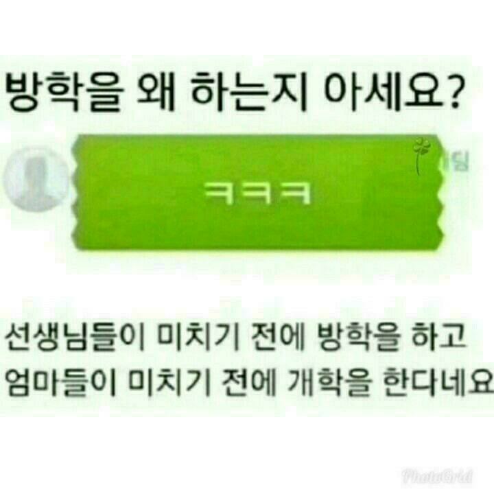 방학은 왜 하는지 아세요?