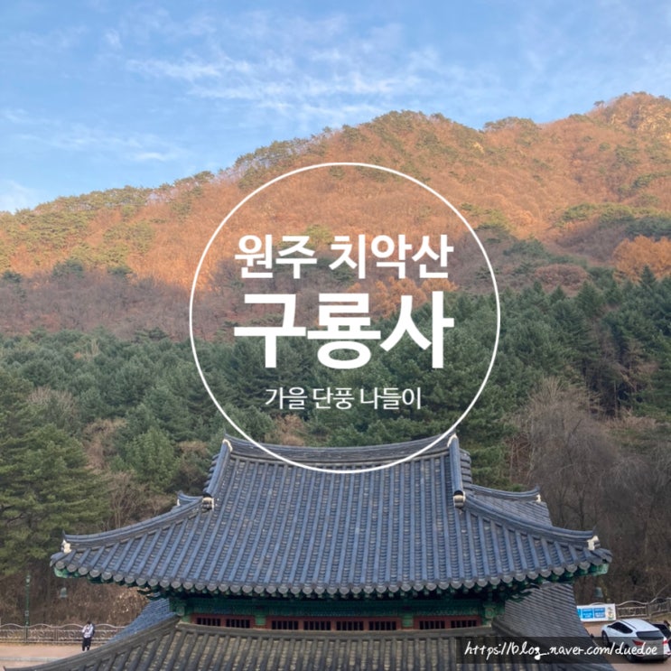 원주 치악산 구룡사 가을 산책