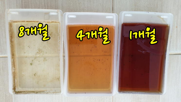  식물 성장 시 꼭 필요한 것