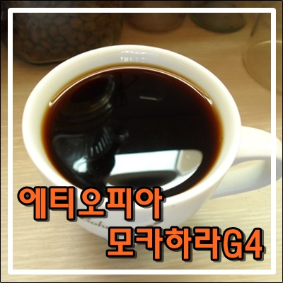 에티오피아 모카하라G4 드립커피 에티오피아 모카하라G4 드립커피