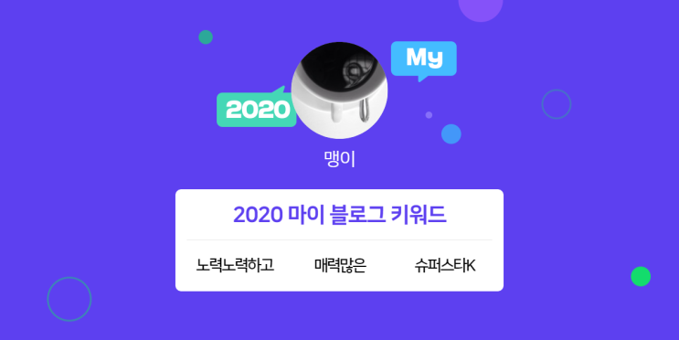 [2020 마이블로그 리포트] 한 눈에 보는 올해 내 블로그 데이터!