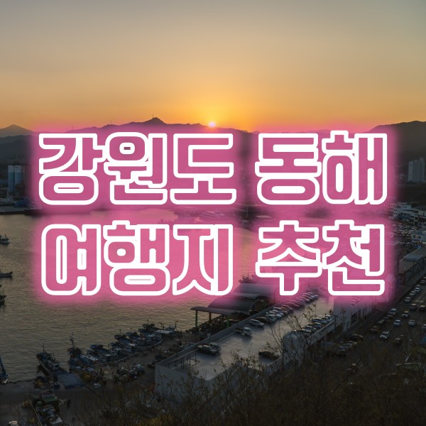  강원도 동해 여행지(천곡동 횟집, 묵호등대 일몰과 야경)
