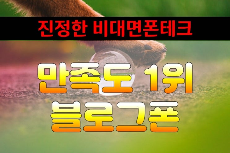  비대면폰테크사기취소 후기