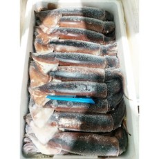  신뢰가는 8KG건조기 제품 와이프도 좋아하네요