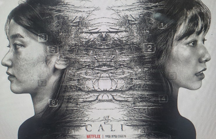 [넷플릭스개봉작] 콜 (The Call) 이충현 감독의 첫번째 장편 바로 그 영화 !!