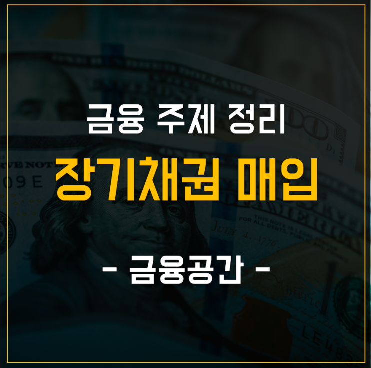  금융 주제 정리 - 장기채권 매입