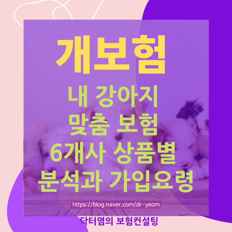  개보험 내 강아지 맞춤 보험 6개사 상품별 분석과 가입요령