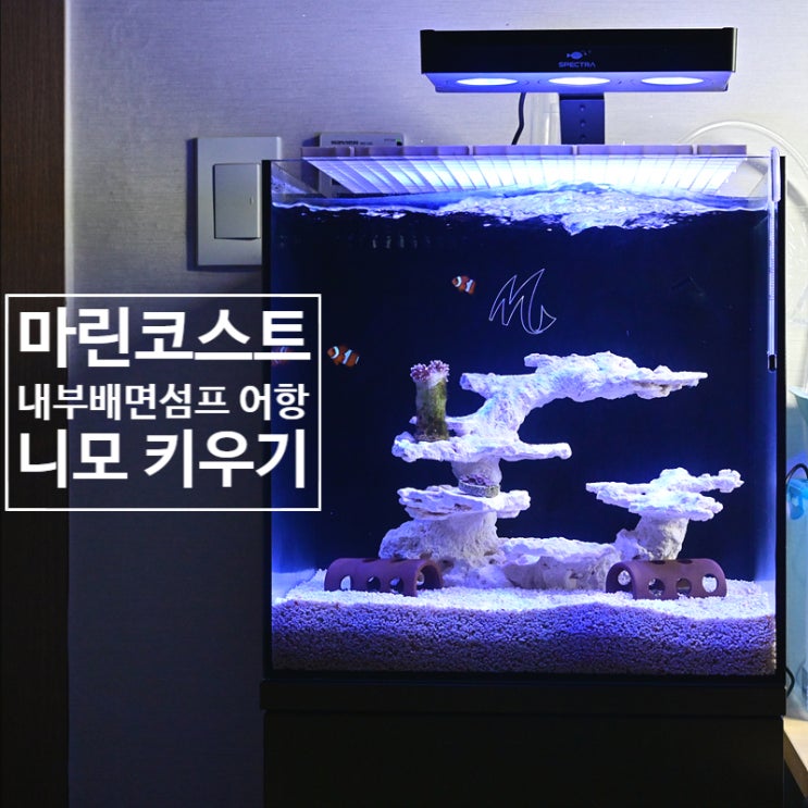  니모키우기 배면섬프 어항 마린코스트 EZ35 해수어항 세트