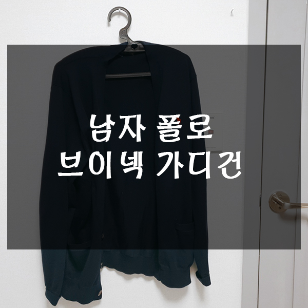  남자 폴로 브이넥 가디건 직구 후기 및  사이즈 팁