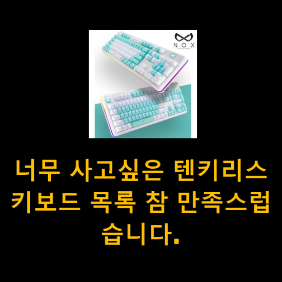  너무 사고싶은 텐키리스키보드 목록 참 만족스럽습니다.