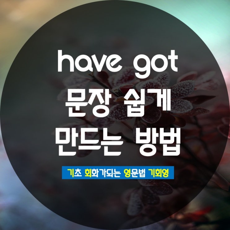  have got 영어 문장 쉽게 만드는 방법 - 기회영