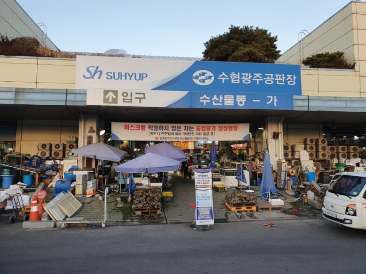 광주 맛집 - 광주서부농수산물도매시장, 현대수산, 회포장