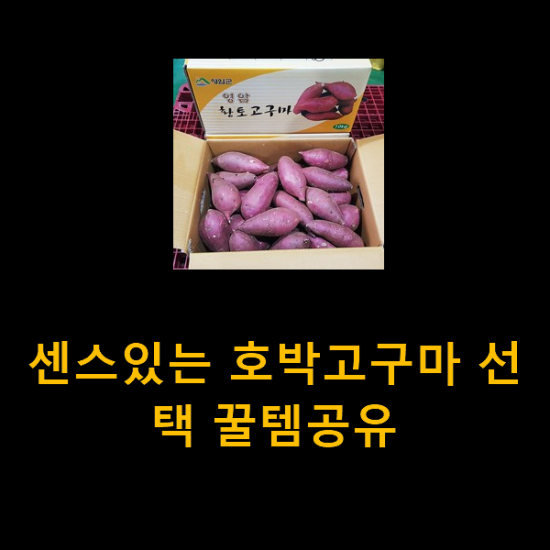 센스있는 호박고구마 선택 꿀템공유 센스있는 호박고구마 선택 꿀템공유
