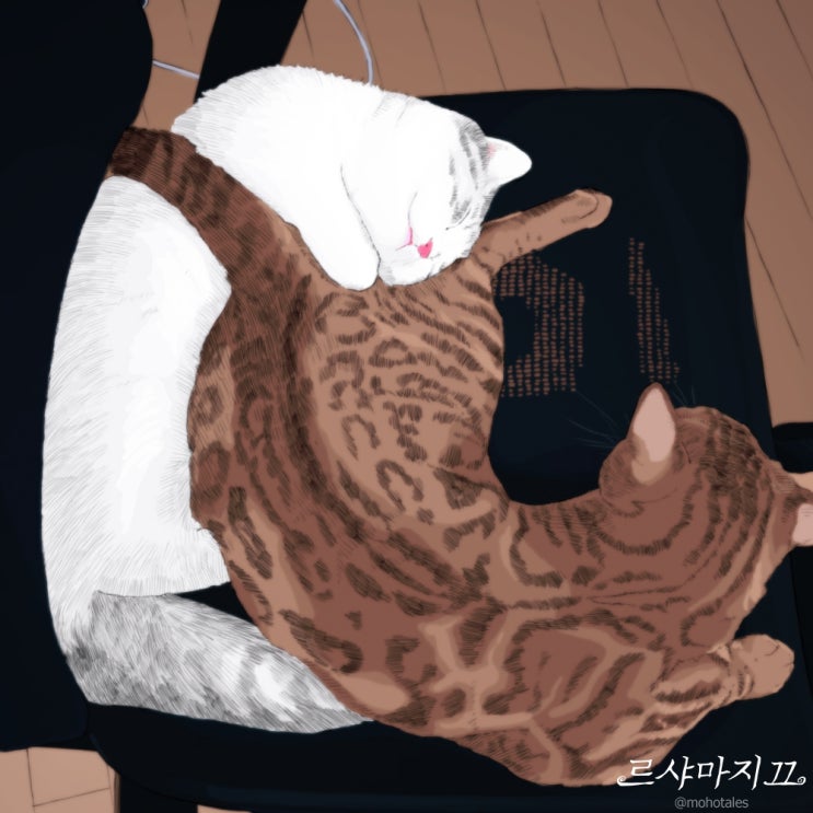  웃긴대학 알타반