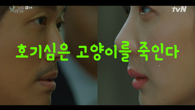  [낮과밤] 호기심은 고양이를 죽인다