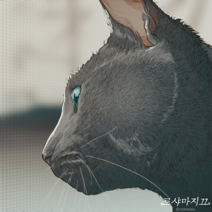  웃긴대학 softed