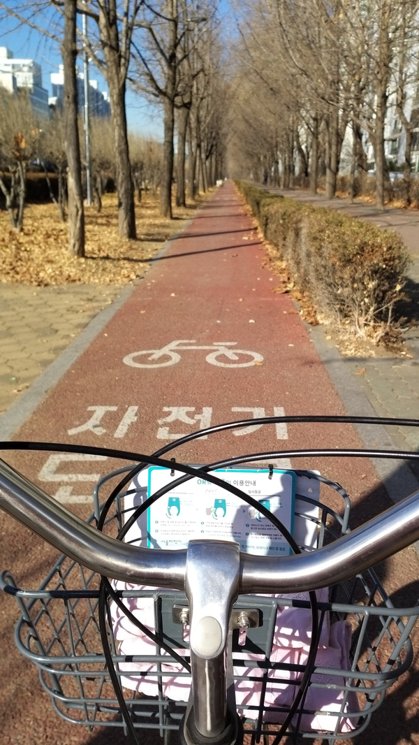  [20201217]따릉이 자전거 타고 잠실에 갔다 왔어요_다이소에 1000원짜리 장난감 교환하러.....(feat.갈매역 힐스테이트 아파트형 오피스텔 분양홍보관)