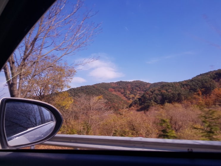  하동 가볼만한곳/하동 편백나무숲/ 하동 자연휴양림/피톤치드 힐링