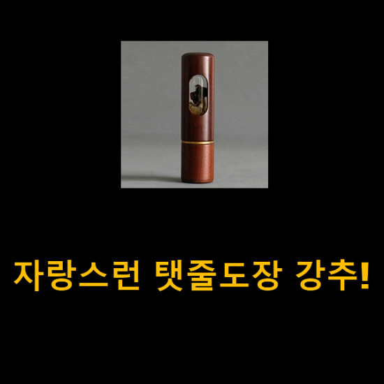  자랑스런 탯줄도장 강추!