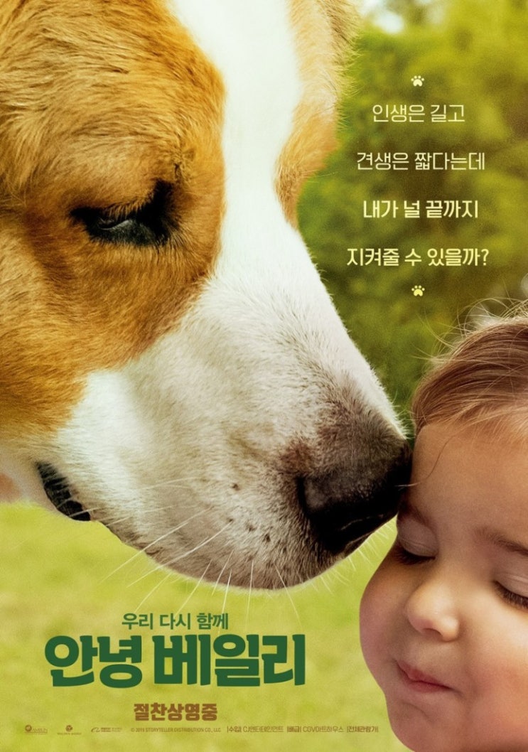 강아지가 환생하는 이야기 :: 안녕 베일리 (A Dog's Journey)