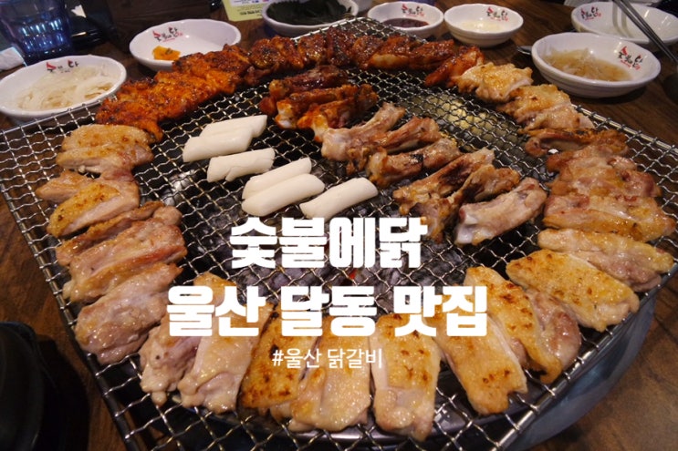  울산 닭갈비 맛집 - 구워먹는 숯불에닭 달동점