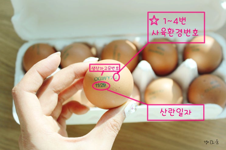 0.1%만 아는 계란껍질 번호의 비밀! 4번 논란 선택 살림팁 0.1%만 아는 계란껍질 번호의 비밀! 4번 논란 선택 살림팁