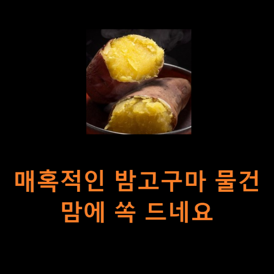 매혹적인 밤고구마 물건 맘에 쏙 드네요