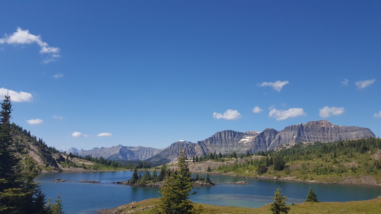  [캐나다로키] 캐나다 트레킹 이야기 1화. 선샤인 메도우 Sunshine Meadows Trail
