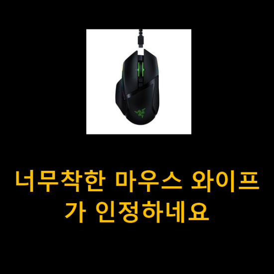  너무착한 마우스 와이프가 인정하네요