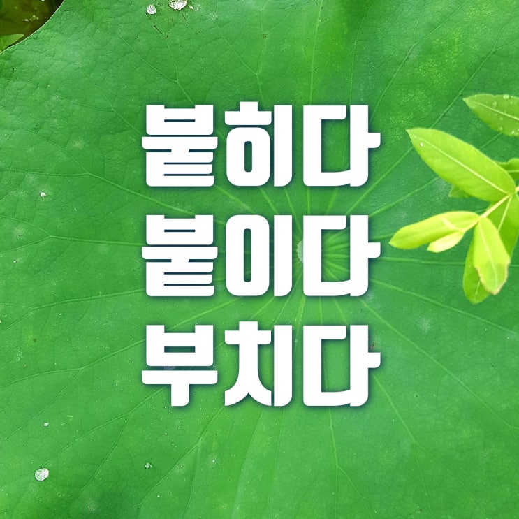  붙히다 붙이다 부치다 맞춤법 완벽 정리