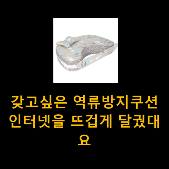  갖고싶은 역류방지쿠션 인터넷을 뜨겁게 달궜대요