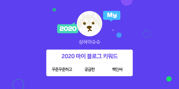[2020 마이블로그 리포트] 한 눈에 보는 올해 내 블로그 데이터!