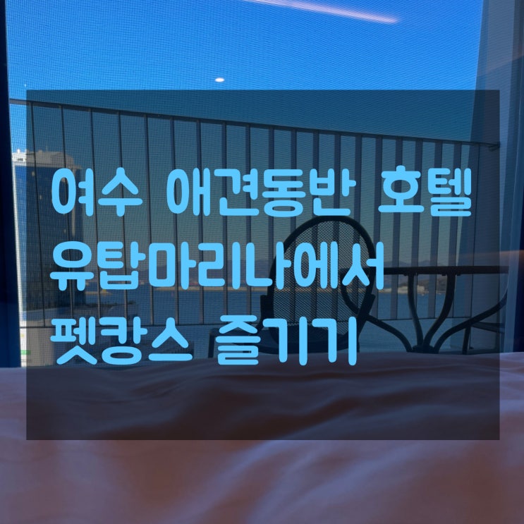  여수 애견동반호텔 유탑마리나에서 반려견과 함께 펫캉스