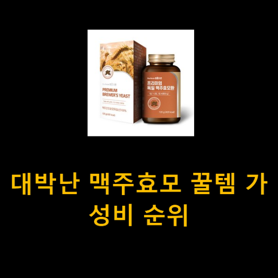 대박난 맥주효모 꿀템 가성비 순위