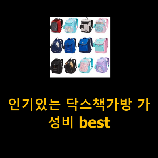  인기있는 닥스책가방 가성비 best