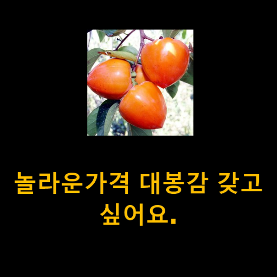 놀라운가격 대봉감 갖고싶어요.