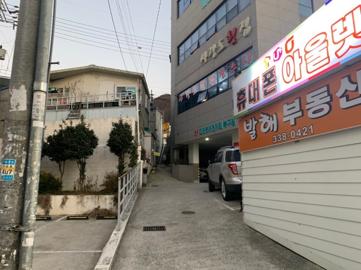  부산 덕천 애견카페 사회성기르기도 좋아요!