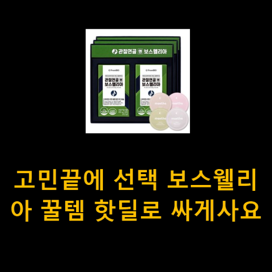 고민끝에 선택 보스웰리아 꿀템 핫딜로 싸게사요