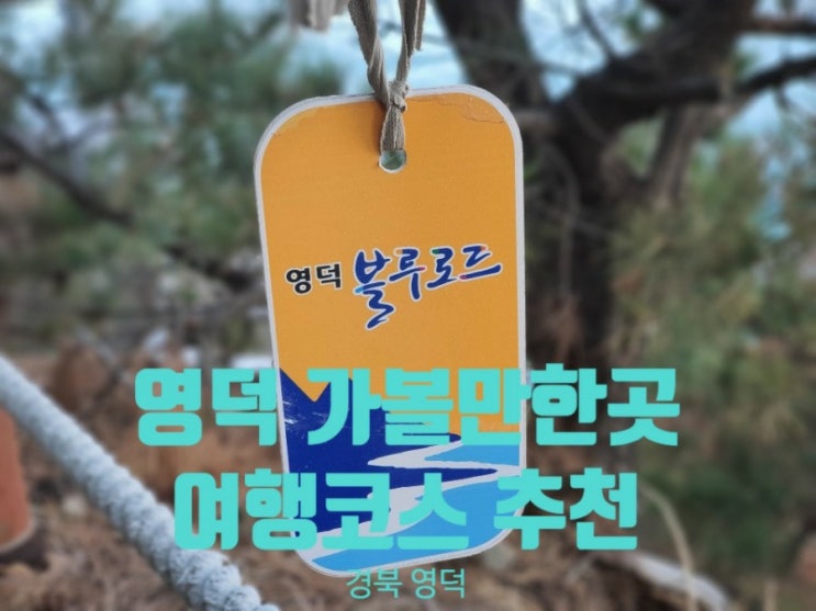  블루로드를 따라 떠나는 경북 영덕여행 당일치기 영덕 가볼만한곳