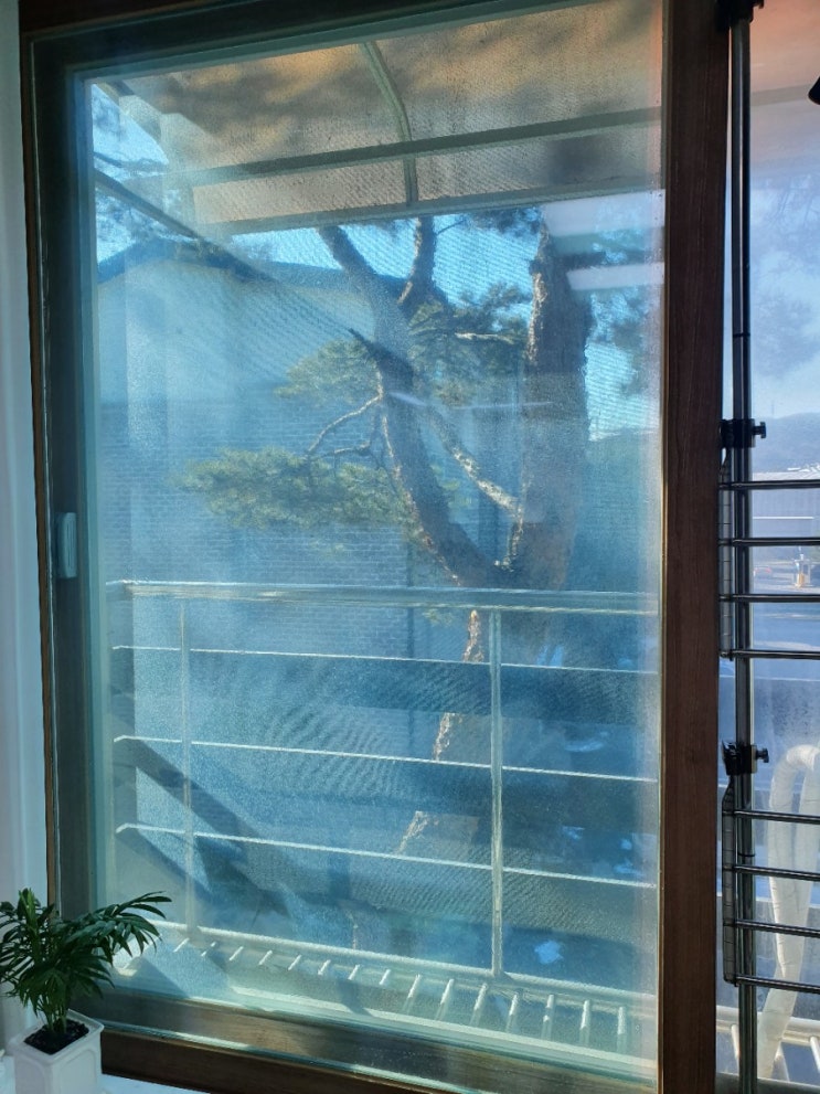 창문단열필름 창문뽁뽁이 코어스코리아 에서 올겨울나기 준비 했어요
