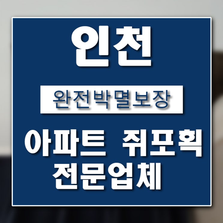 인천 아파트 쥐 퇴치 포획 업체 버그헌터119입니다.