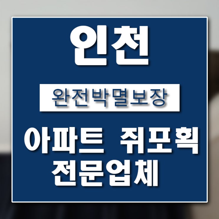  인천 아파트 쥐 퇴치 포획 업체 버그헌터119입니다.