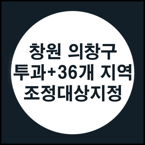  투과 1개 + 조정 36개 지역 추가 지정