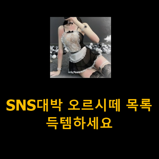  SNS대박 오르시떼 목록 득템하세요