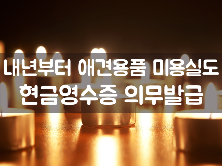  내년부터 애견용품, 미용실도 현금영수증 의무발급