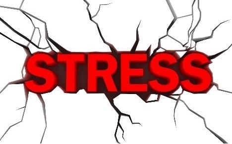 정신과 의사는 스트레스를 어떻게 해소하나요?